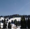Cabana Aurel | Cazare Padis